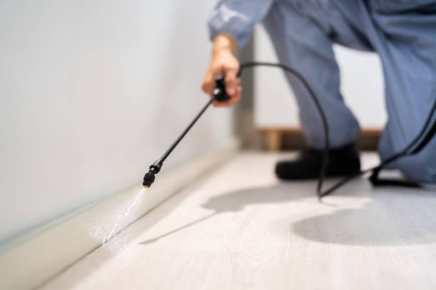 Professional exterminator conducting IPM assessment in Balmville